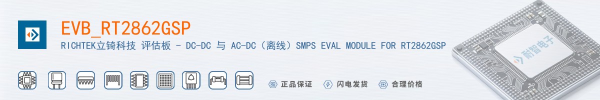 EVB_RT2862GSP������