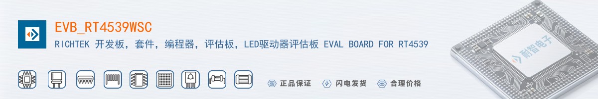 EVB_RT4539WSC������