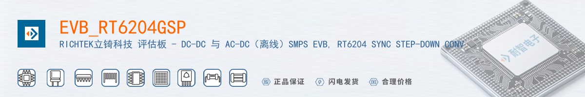 EVB_RT6204GSP������