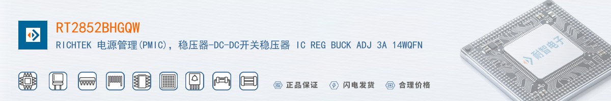 RT2852BHGQW������