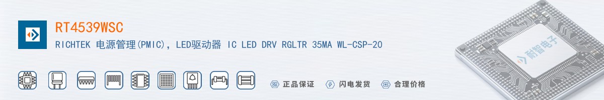 RT4539WSC������