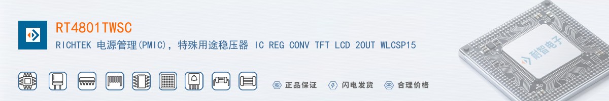 RT4801TWSC������