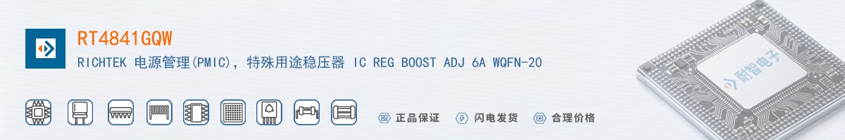 RT4841GQW������