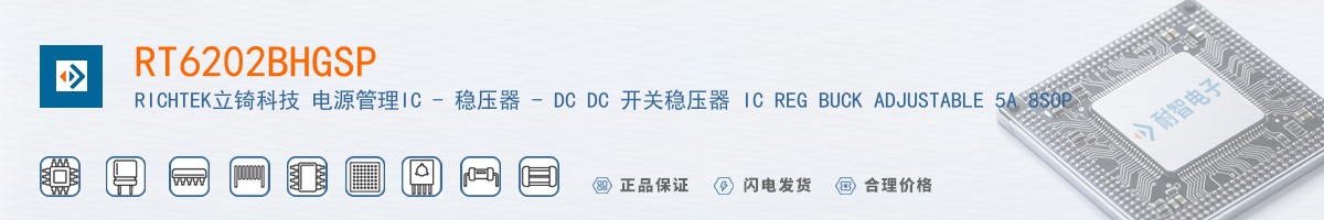 RT6202BHGSP������
