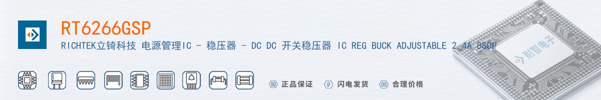 RT6266GSP������
