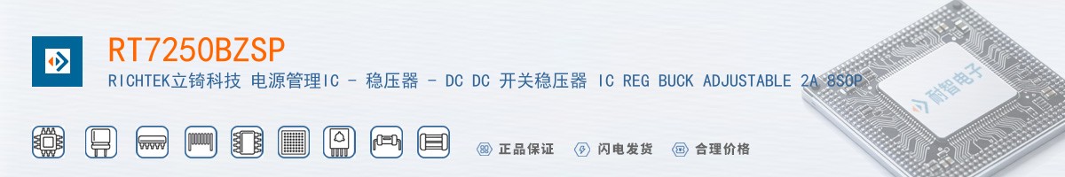 RT7250BZSP������