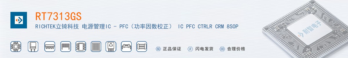 RT7313GS������