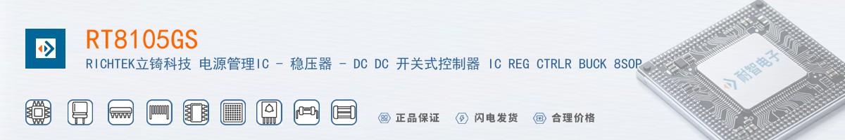 RT8105GS������