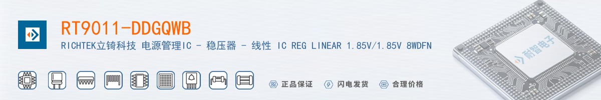 RT9011-DDGQWB������