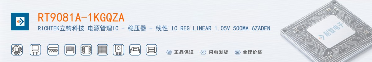 RT9081A-1KGQZA������