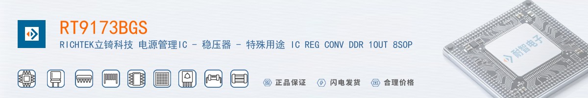 RT9173BGS������