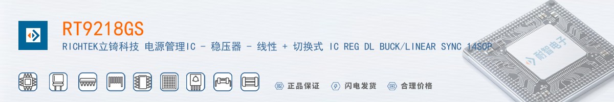 RT9218GS������