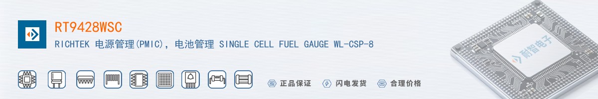 RT9428WSC������