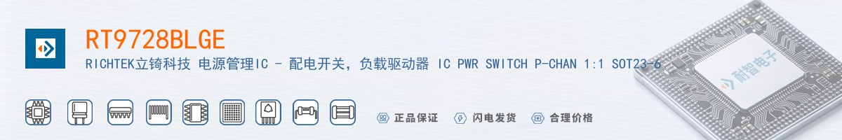 RT9728BLGE������