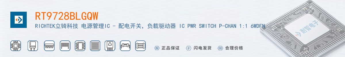 RT9728BLGQW������