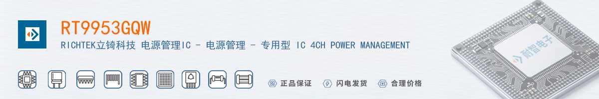 RT9953GQW������