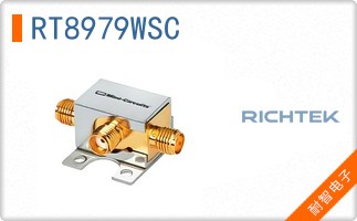 RT8979WSC